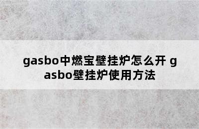 gasbo中燃宝壁挂炉怎么开 gasbo壁挂炉使用方法